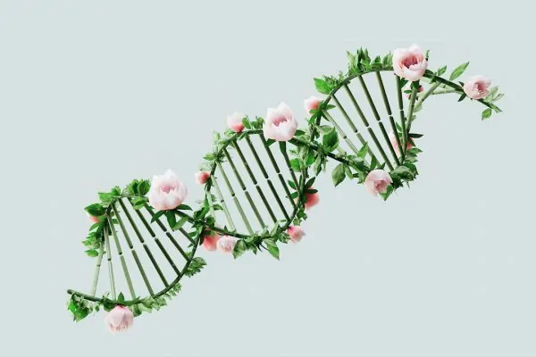 A generated photo of a DNA strand surrounded by flowers relating to plastic surgery